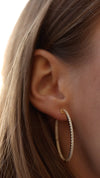 Paloma Large Hoop Earrings Gold Vermeil
