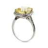 Rivka Grand Cushion Borderset Ring