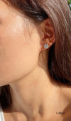 Eternal Four Prong Studs White Gold